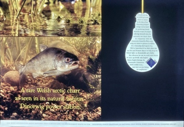 National Grid advert
