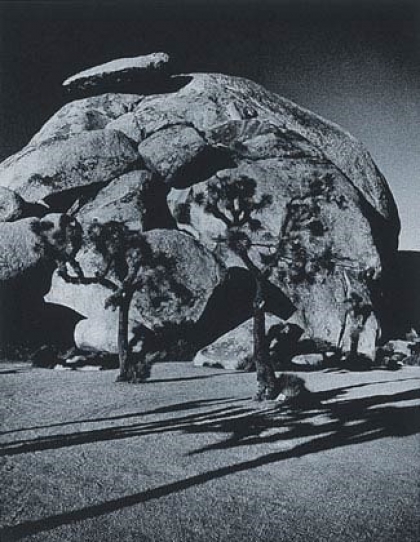 Joshua Tree. California